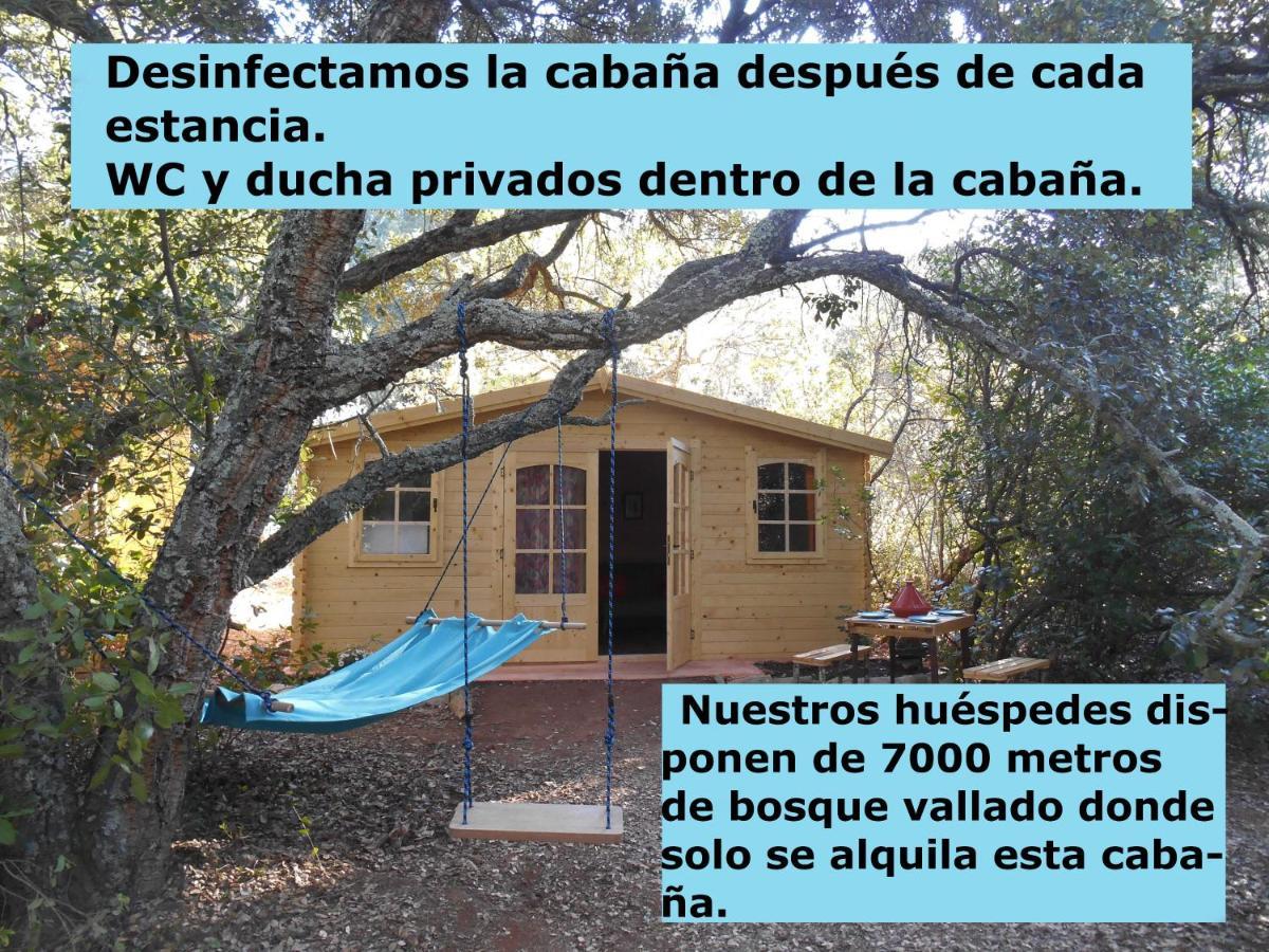 La Cabana Del Alcornoque Cordoba Luaran gambar